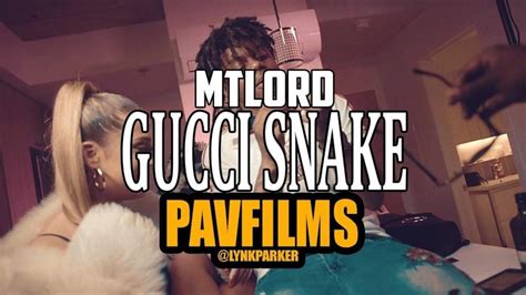 gucci snake song